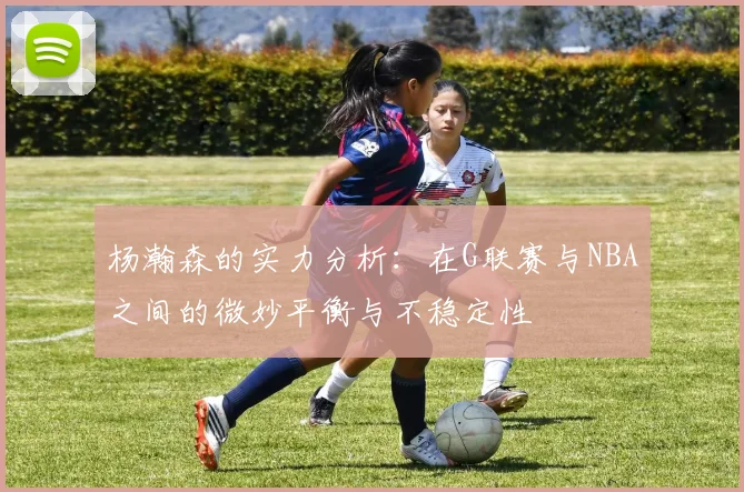 杨瀚森的实力分析：在G联赛与NBA之间的微妙平衡与不稳定性