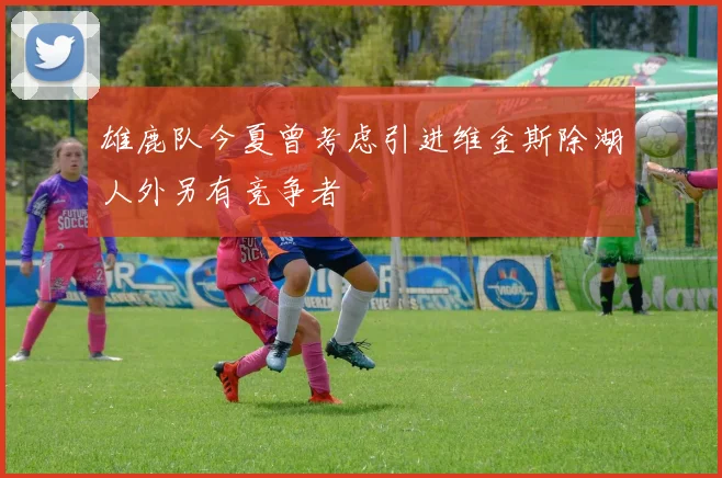 雄鹿队今夏曾考虑引进维金斯除湖人外另有竞争者